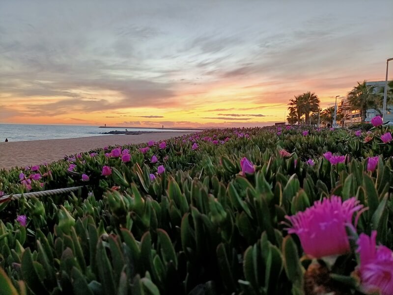 Wielka moc małego bohatera warsztat pracy z wewn∑trzonym dzieckiem z ESC ośrodek leczenia e-uzależnień Warszawa Radosław Helwich ul. Boguckiego 6/3 psychoterapia uzależnień