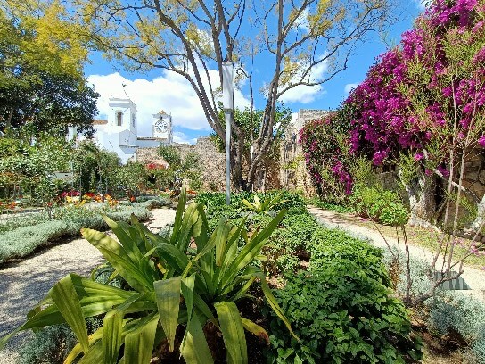 Warsztaty w Vilamoura Portugalia z ESC ośrodek leczenia e-uzależnień Warszawa Radosław Helwich ul. Boguckiego 6/3 psychoterapia uzależnień