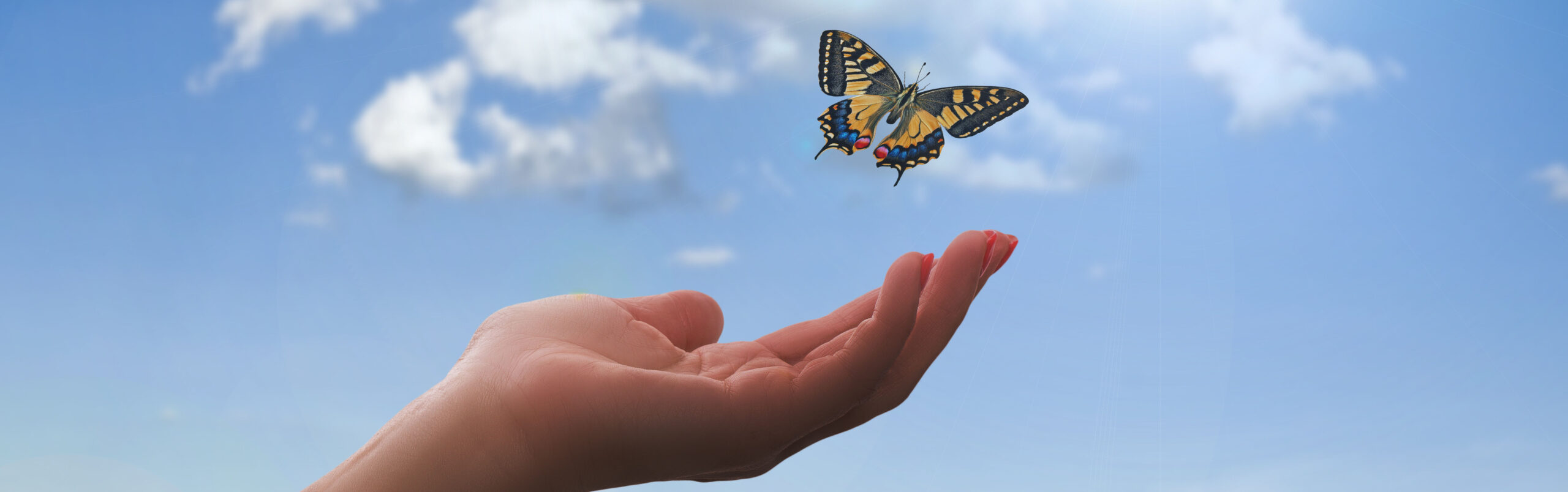 ESC ośrodek leczenia uzależnień Radosław Helwich terapeuta uzależnień ul. Boguckiego 6/3 Warszawa