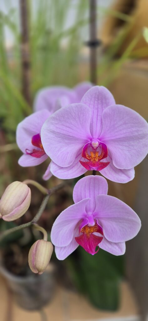 Intensywny Trening Kreatywności (ITK) Esc ośrodek leczenia e-uzależnień ul. Boguckiego 6/3 Warszawa Żoliborz. Małgorzata i Radosław Helwich, Katarzyna Dodd, warsztaty online 31 października 2025